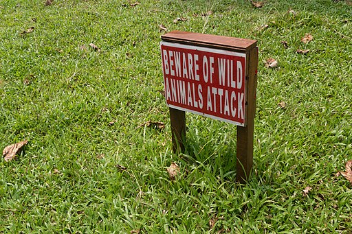 Beware of wild animals attack