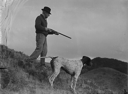 Hunter with rifle and hunting dog