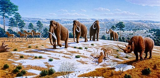 Ice age of northern Spain
