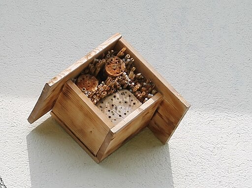 Insect Hotel