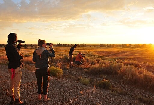 River Whyless on Sunrise Wildlife Observation Stroll