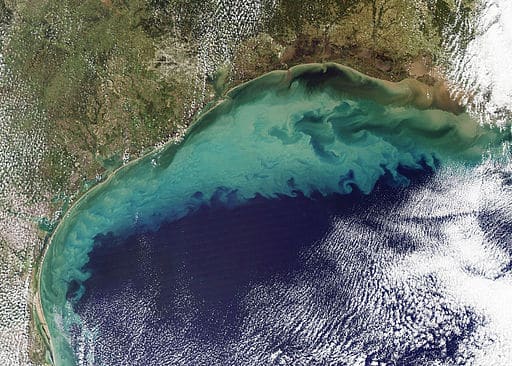 Sediment in the Gulf of Mexico