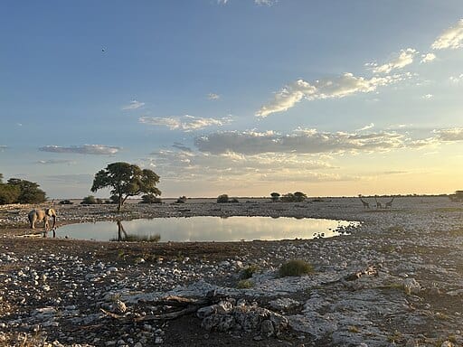 Waterhole Okaukuejo Camp in Etosha National Park