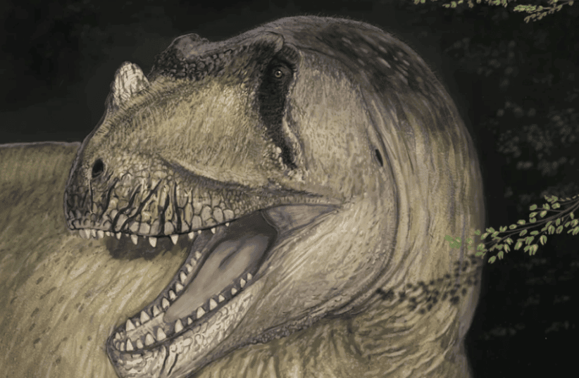 WWII-Lost Fossil Photos Unveil New Horned Dinosaur from Egypt