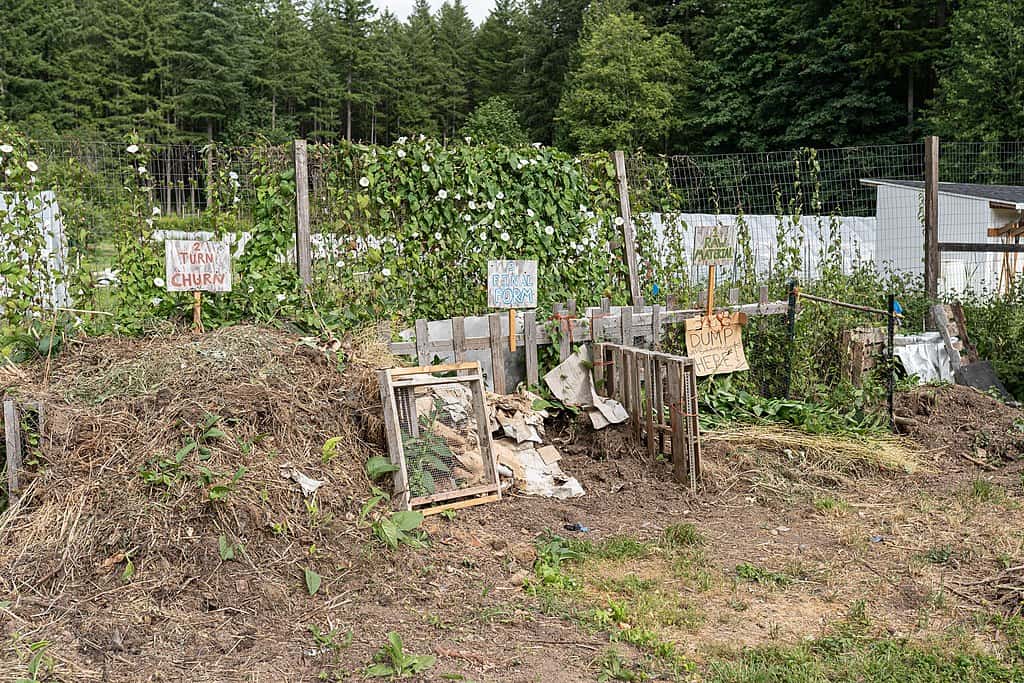 Compost bins