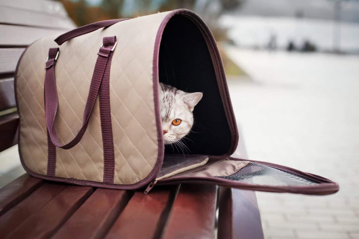 Pet Carrier