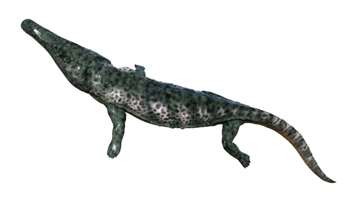 Temnodontosaurus