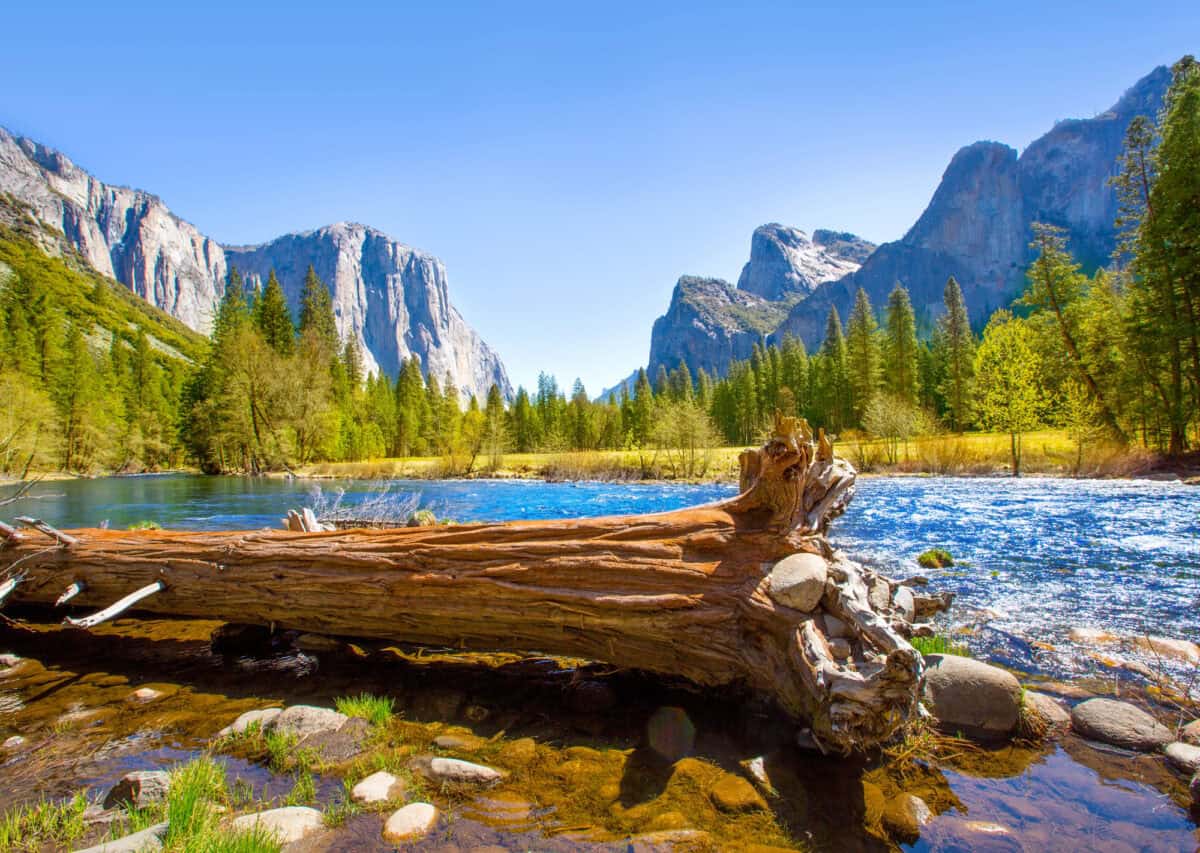 Yosemite Merced River el Capitan and Half Dome