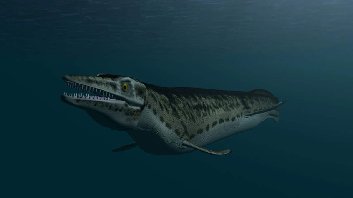 Mosasaurus