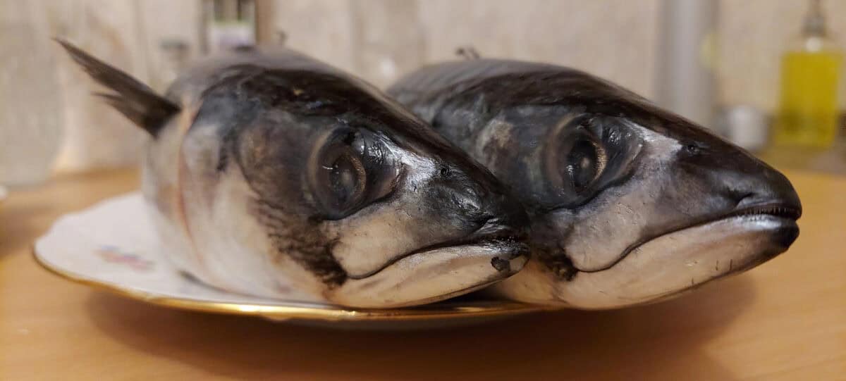 Two herring fish lie on a platter on the table