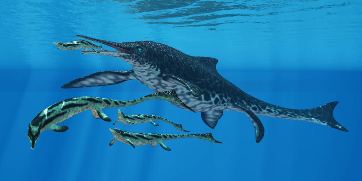 Shonisaurus