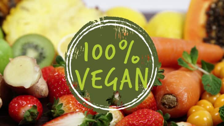 The Vegan Revolution: Can We End Animal Exploitation?
