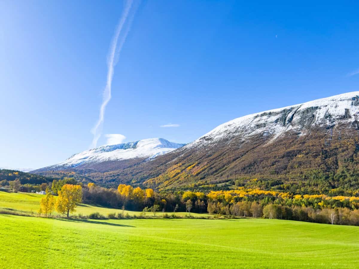 Autumn landscape in Dovrefjell National Park, south Norway, surrounded