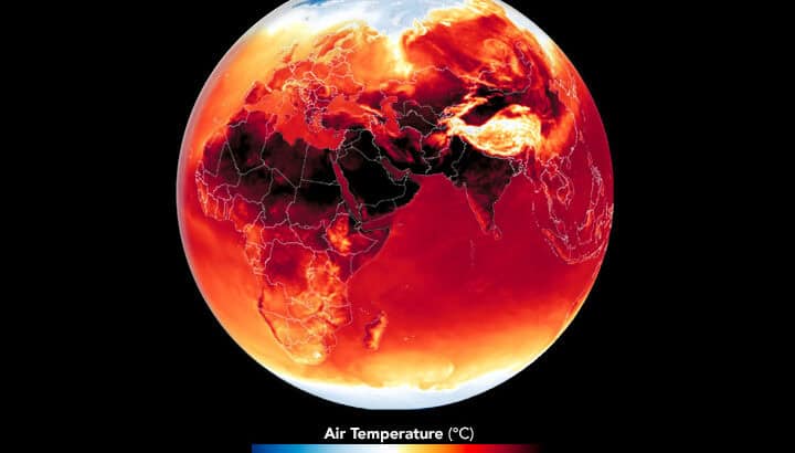 The Impact of Heatwaves on Animal Behavior and Survival