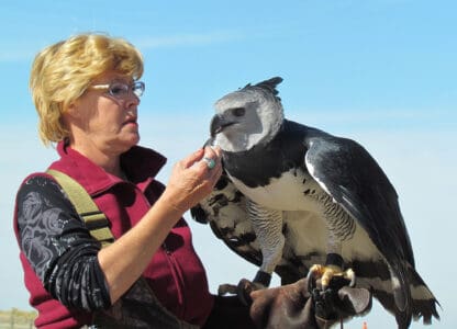 The World’s Strongest Eagle (force of 530 pounds per square inch)