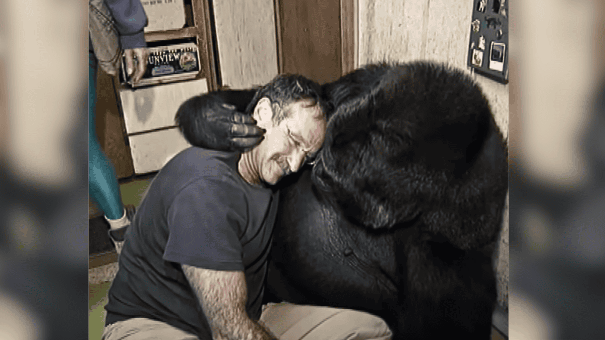 A tender moment