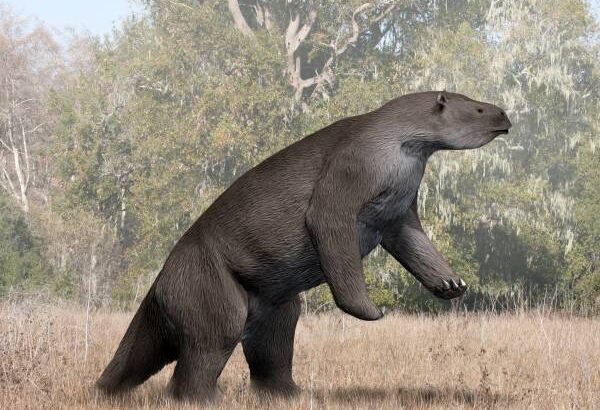 The Majestic Megatherium: The Largest Land Mammal of Its Time