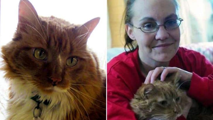 Hero Cat Saves New Owner’s Life Hours After Finding a Forever Home