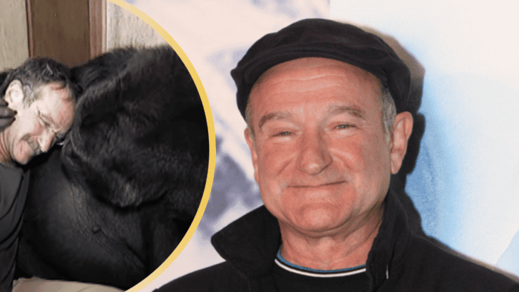 How Robin Williams Brought Laughter to a Gorilla Grieving the Loss of Her Friend