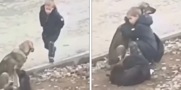 Kindhearted Boy Stops to Hug Stray Dogs when He Thinks No One Sees Him