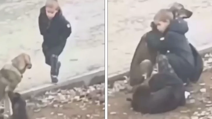 Kindhearted Boy Stops to Hug Stray Dogs when He Thinks No One Sees Him