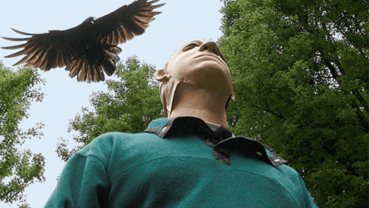 Crow recognition