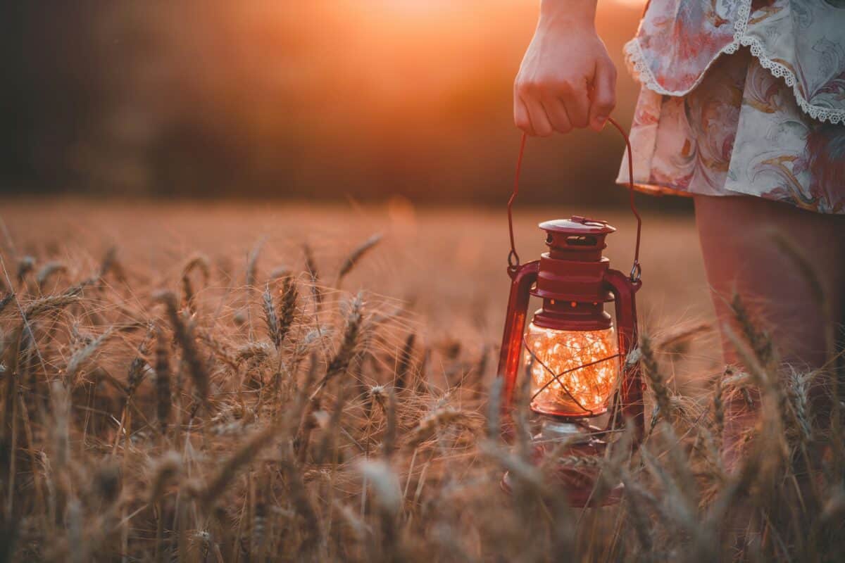 Fireflies