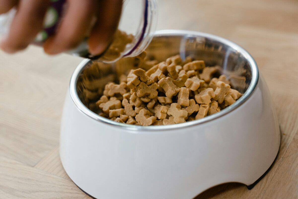 Dog treats