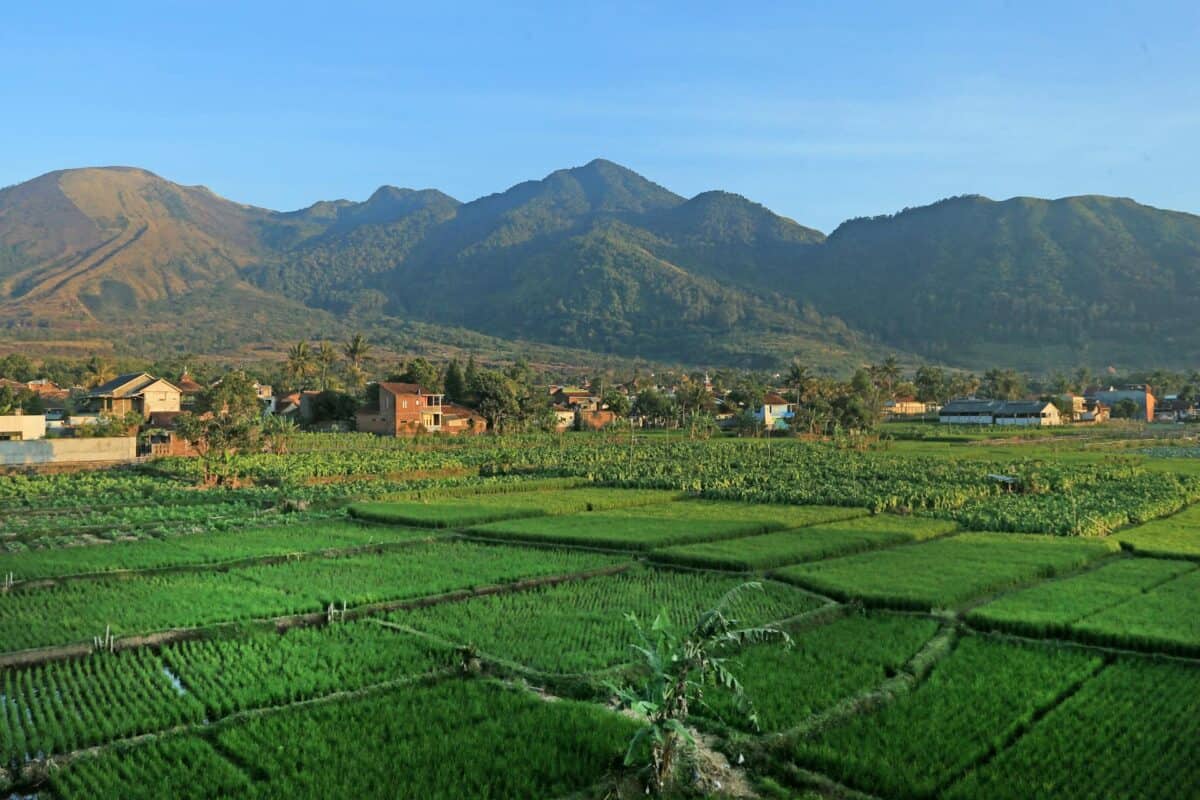 Puncak Jaya