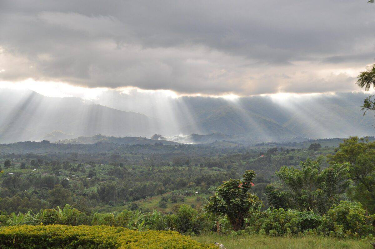 Rwenzori Mountain 