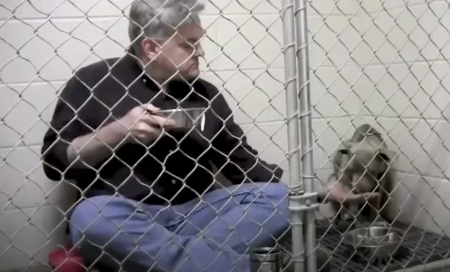 Vet Sits and Eats in Kennel to Comfort Scared Rescued Dog &ndash; Wins Her Heart