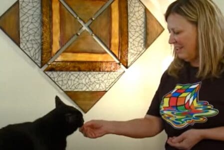 Heroic Cat Saves Ohio Family from Life-Threatening Carbon Monoxide Poisoning