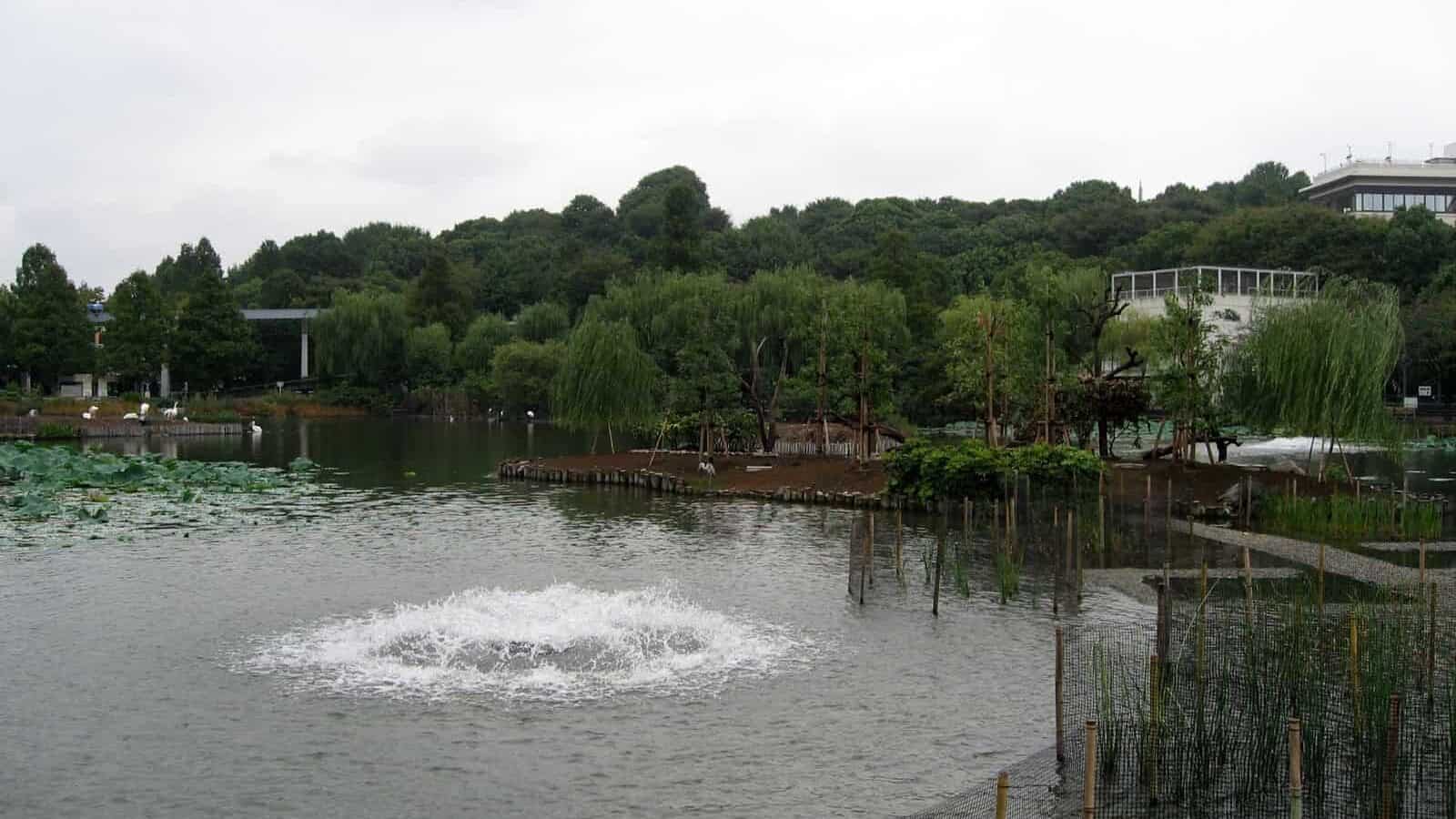 A scenic view of a pond with a fountain in the center, surrounded by lush greenery and trees. A few structures and pathways are visible in the background under an overcast sky.