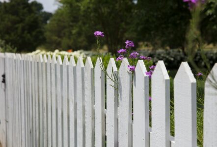 How to Create a Safe Haven for Pollinators in Your Garden