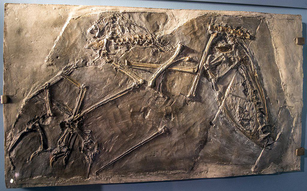 Pterosaurs Flight in the Age of Dinosaurs