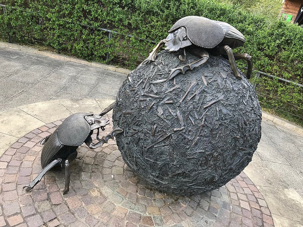 Dung beetle sculptures