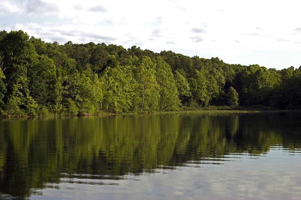 Hoosier National Forest, Indiana.