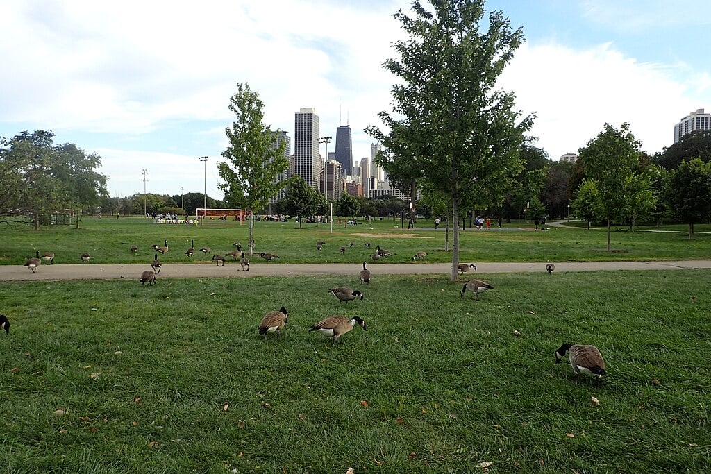 Lincoln Park in Chicago