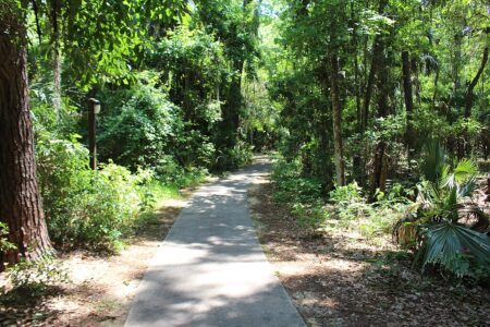 Wildlife Sanctuaries: Safe Havens for Rescued Animals