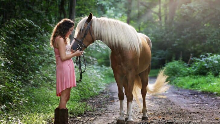 25 Signs Your Horse Is Happy and Healthy