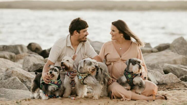 How to Choose the Right Pet for Your Family