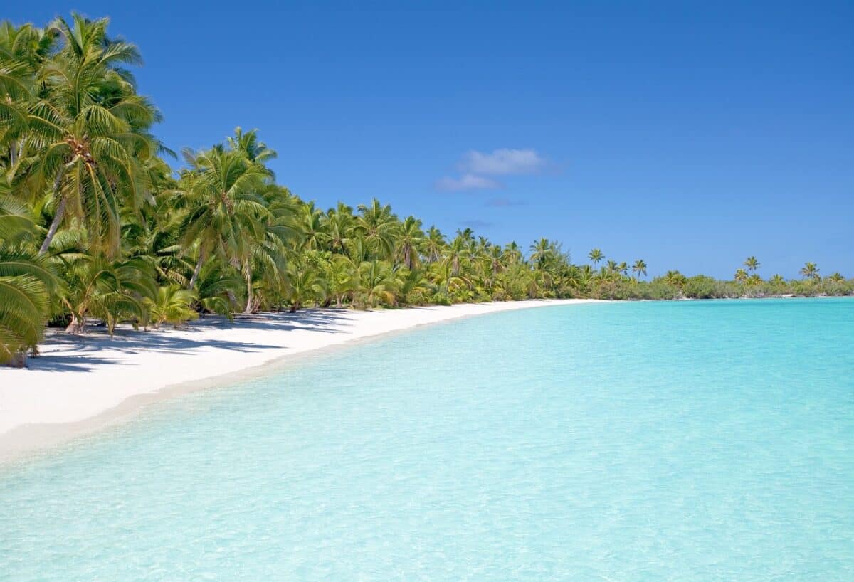 beach, island, ocean, sea, seascape, seashore, palm trees, water, paradise, tropical, tropical island, sand, sandy beach, white sand, beach, beach, beach, nature, beach, beach