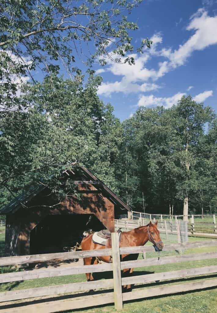 brown wooden house near green trees during daytime