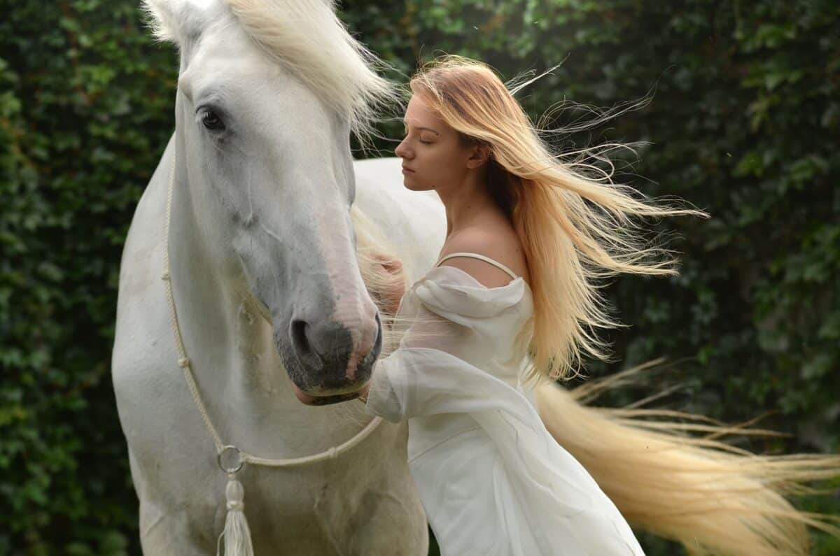 woman, horse, magical, daydream, lady, female, portrait, girl, beauty, animal, mammal, woman, horse, horse, horse, nature, horse, horse, girl, girl, girl