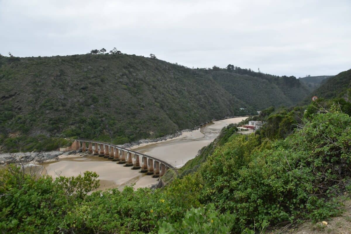 A view of a river and a bridge from a hill