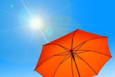 Meet the Critters That Love Southern Heat and Humidity