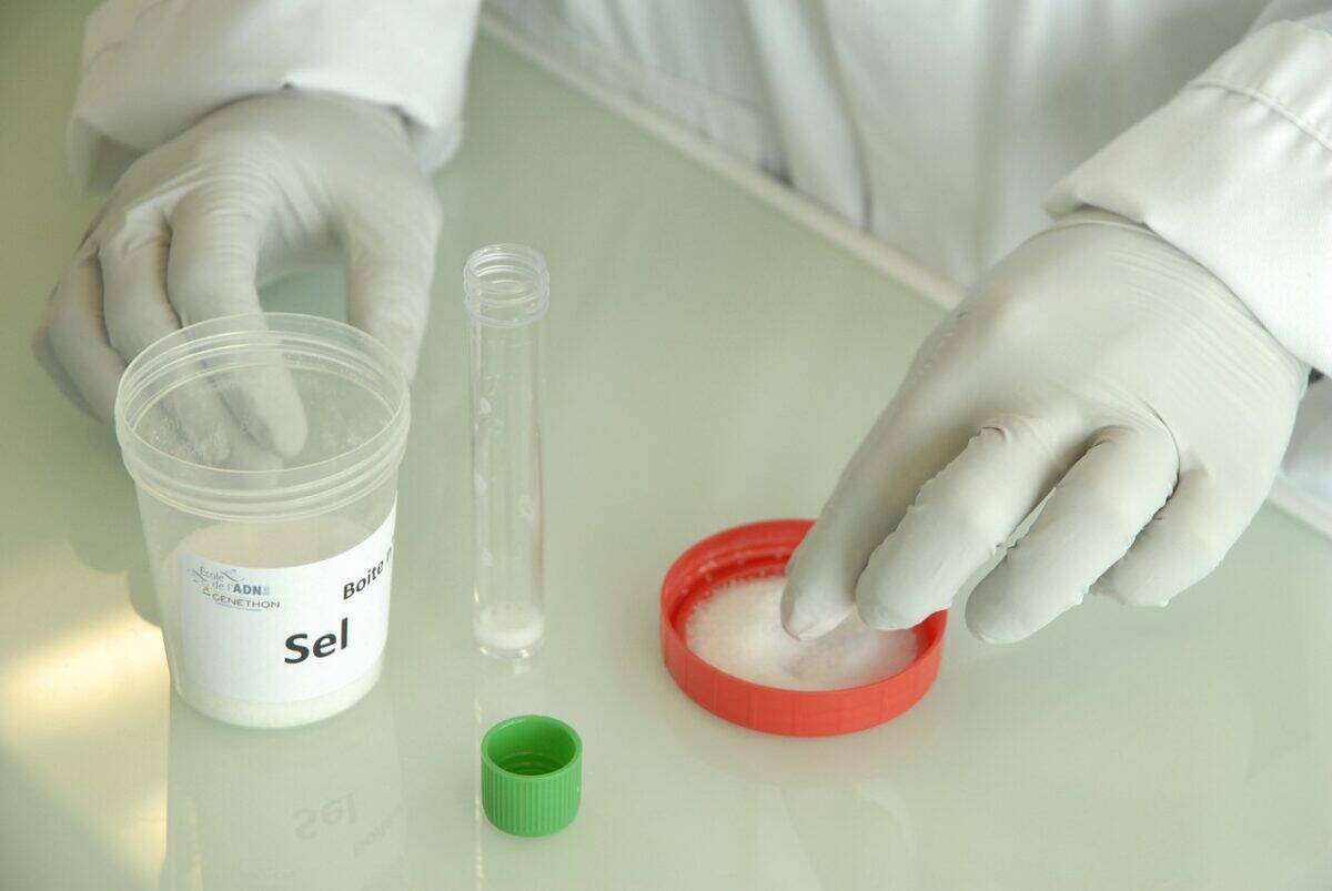 dna extraction, tuba, experimentation, sel, dna extraction, dna extraction, dna extraction, dna extraction, dna extraction, experimentation