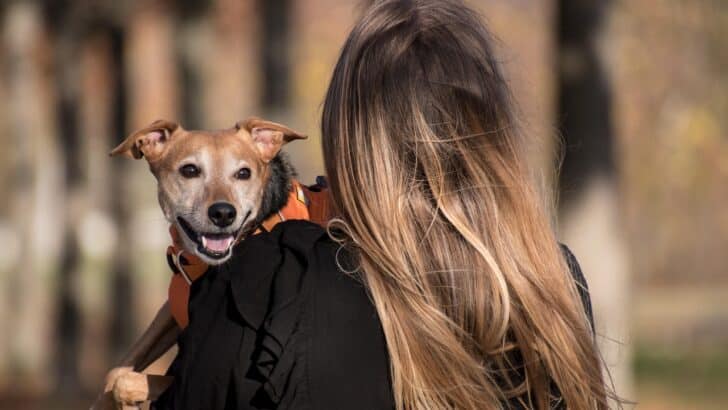 23 Unusual Pets That Are Surprisingly Legal