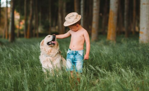 12 Dog Breeds That Are Surprisingly Good with Kids
