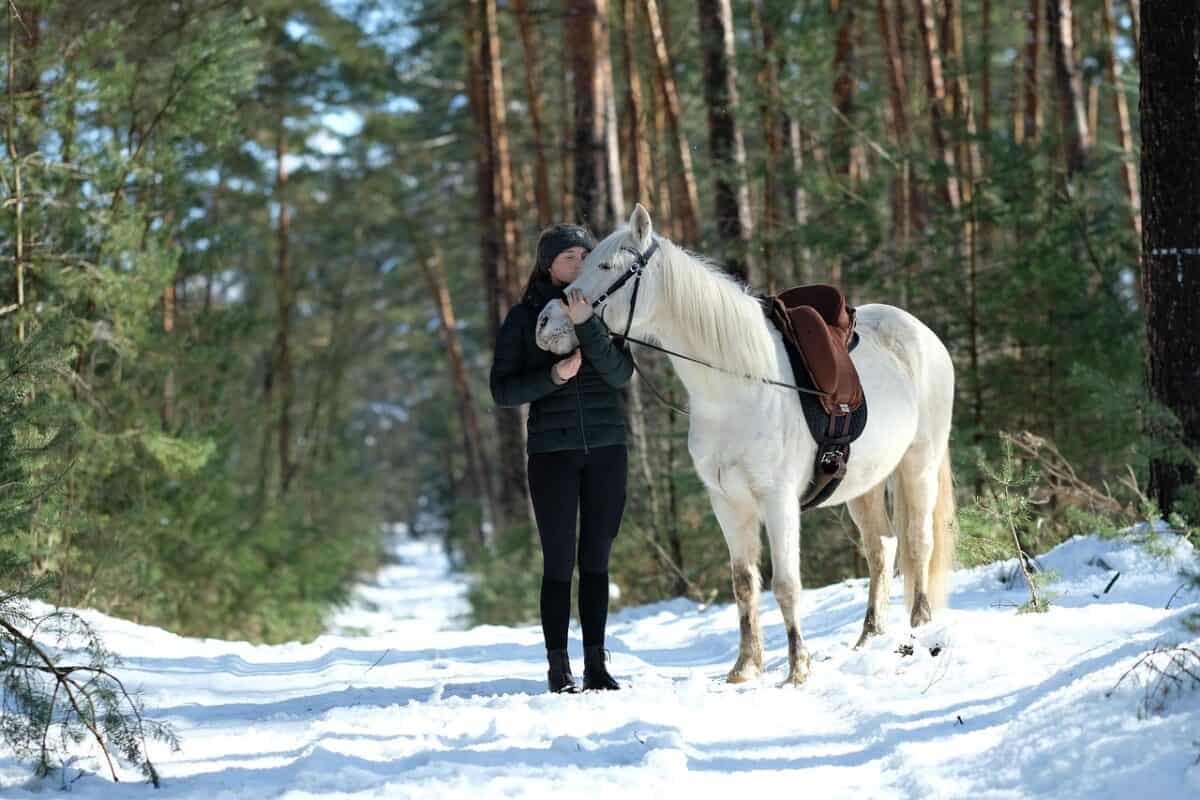 horse, woman, pony, animal, winter, nature, landscape, love, pet, snow, hug, horse, horse, horse, horse, horse, hug